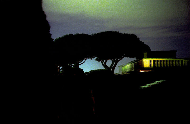 A view of a tree at night. 